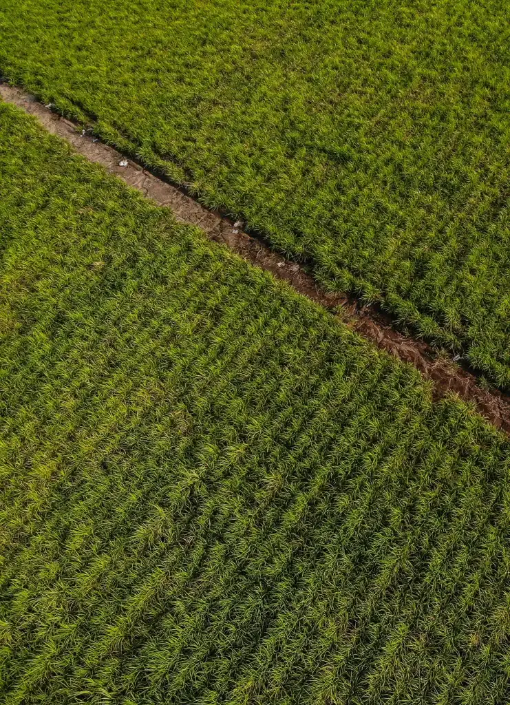 Swift Insurance Agriculture Insurance