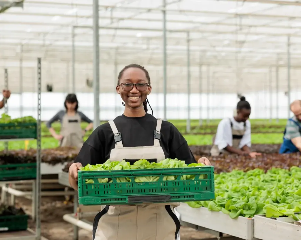 Swift Insurance Agriculture Insurance